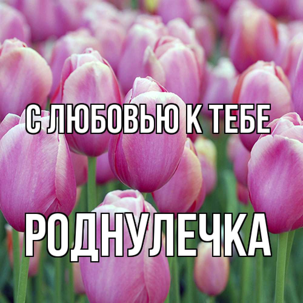 Открытка  с именем. Роднулечка, С любовью к тебе  