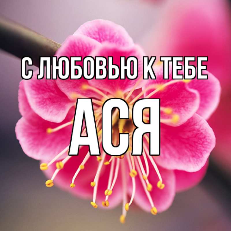 Картинка С любовью к тебе, Ася