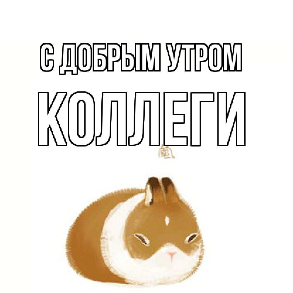 Открытка  с именем. коллеги, С добрым утром  