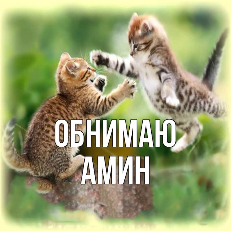 Картинка Обнимаю, Амин