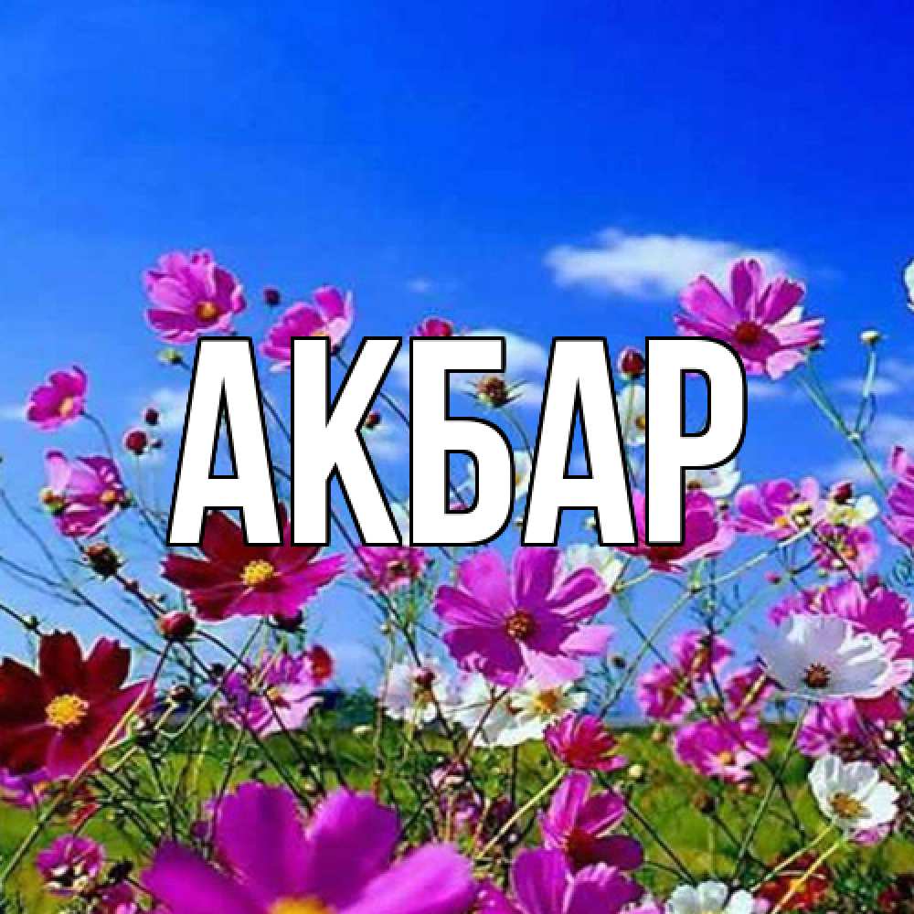 Открытка  с именем. Акбар, Главная  