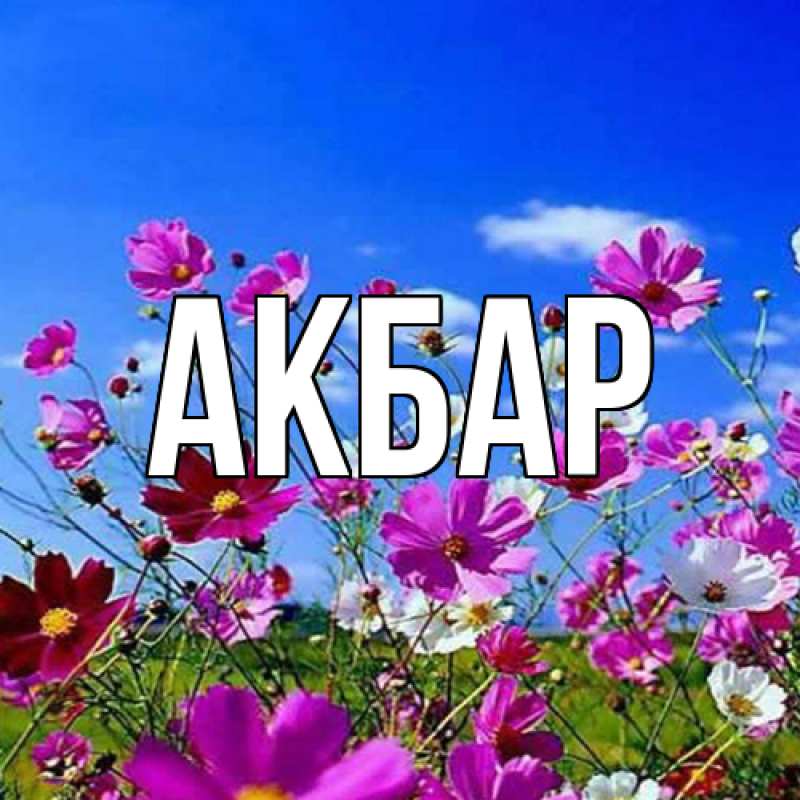 Картинка  с именем , Акбар