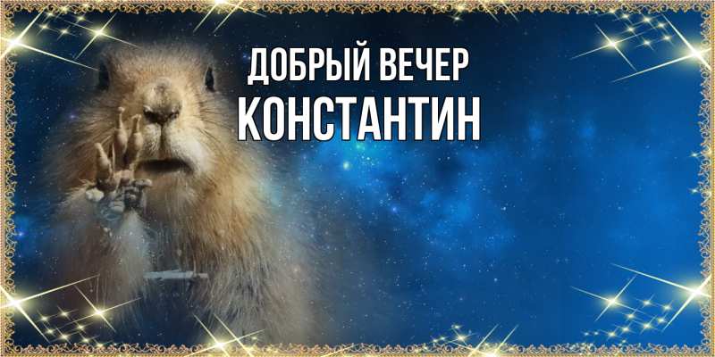 Картинка Добрый вечер, Константин
