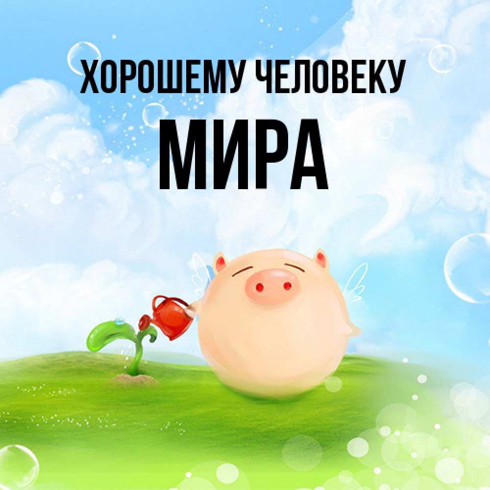 Открытка  с именем. Мира, Хорошему человеку  