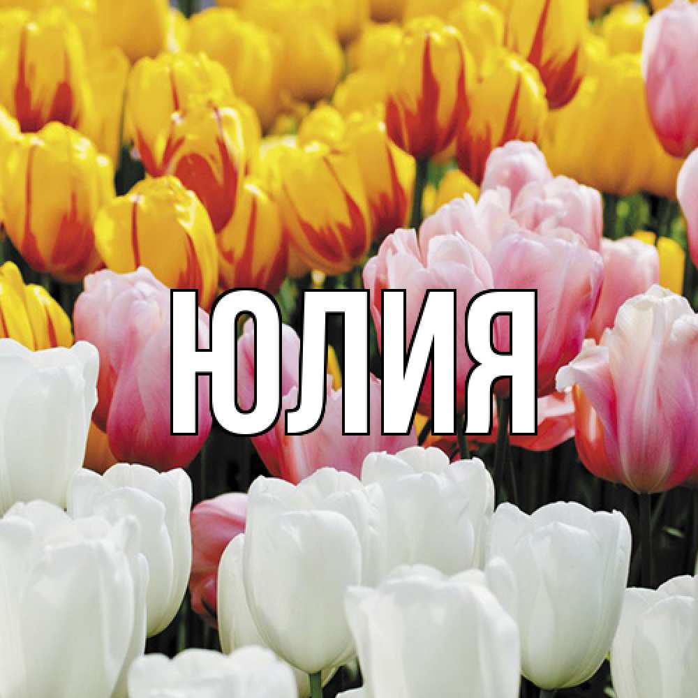 Открытка  с именем. Юлия, Главная  