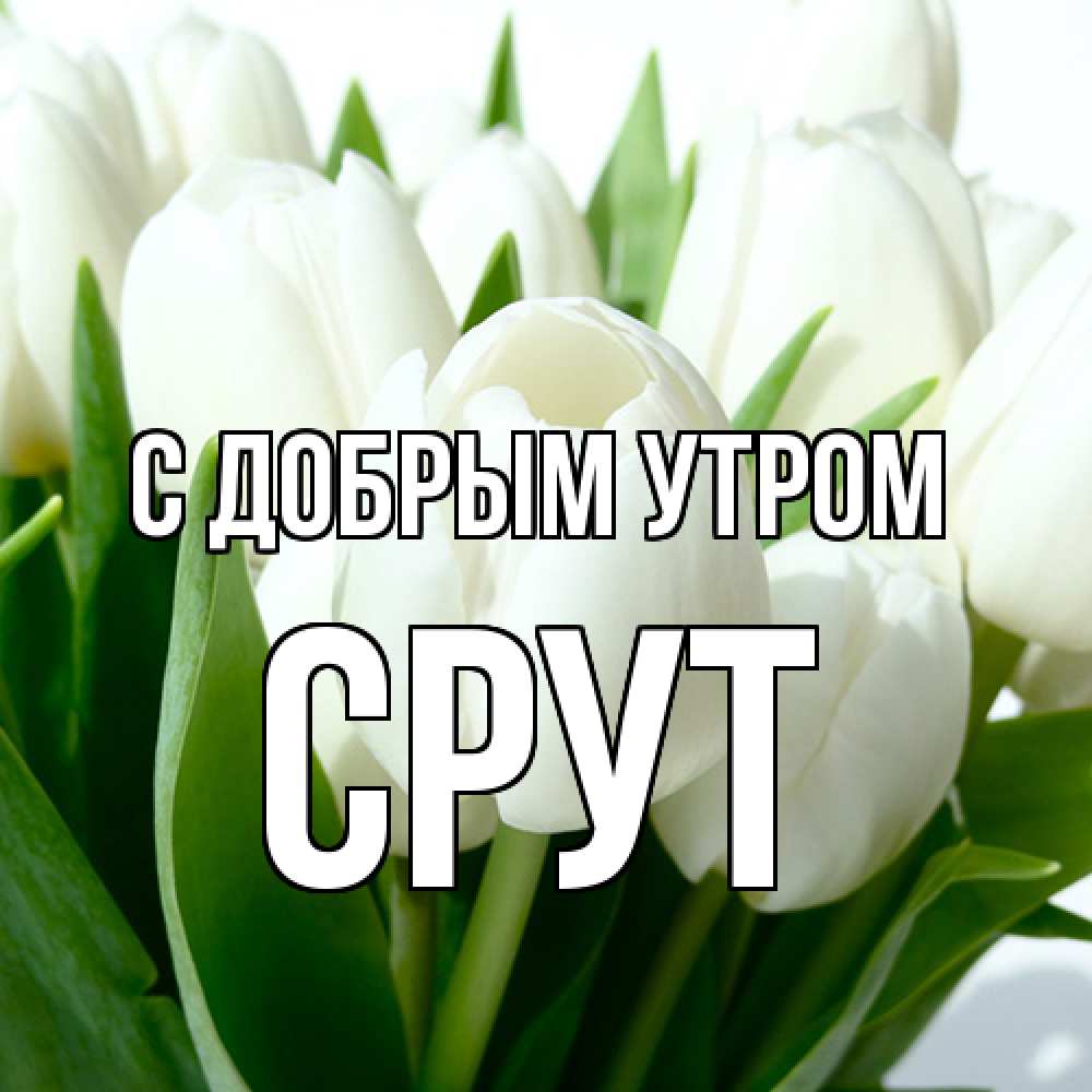 Открытка  с именем. срут, С добрым утром  