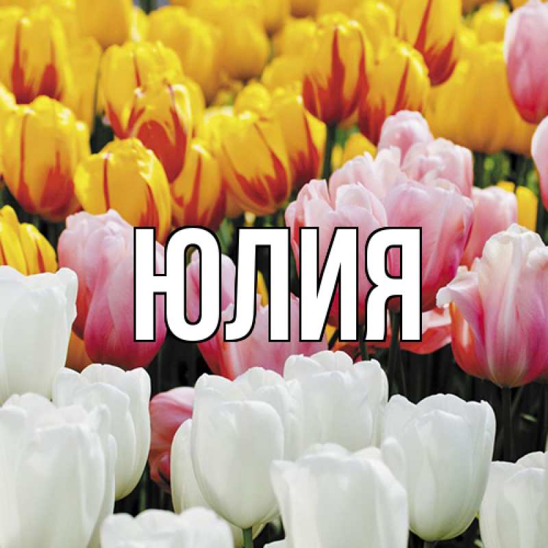 Картинка  с именем , Юлия