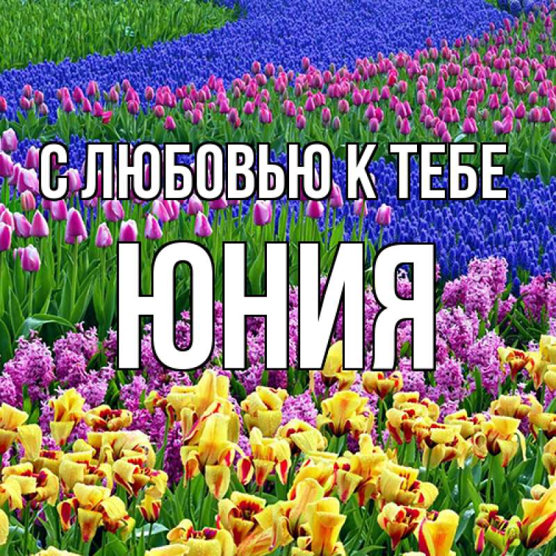 Картинка С любовью к тебе, Юния