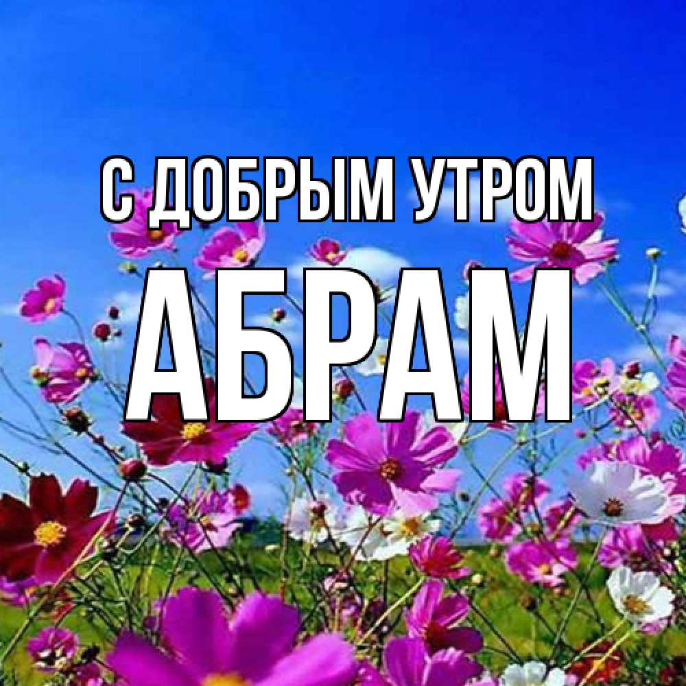 Открытка  с именем. Абрам, С добрым утром  