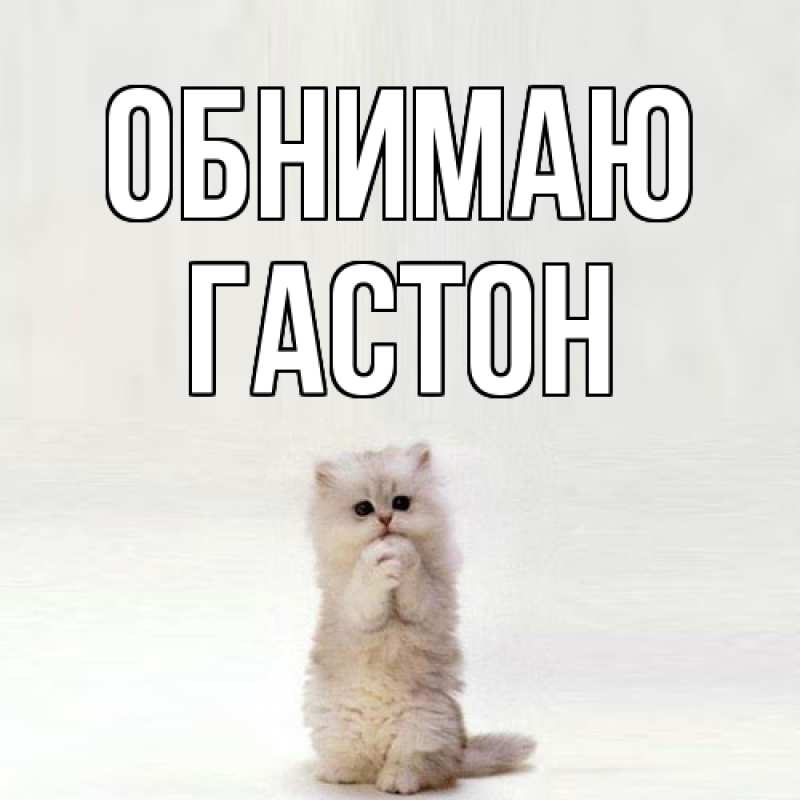 Картинка Обнимаю, Гастон