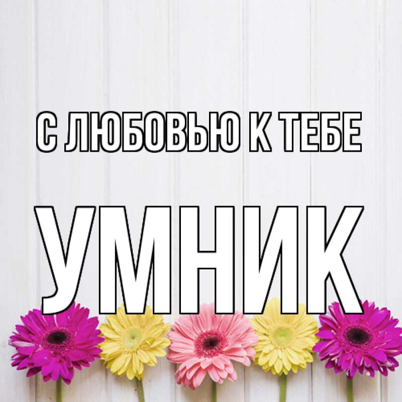 Картинка С любовью к тебе, Умник