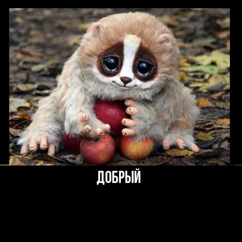 Картинка  с именем , Добрый