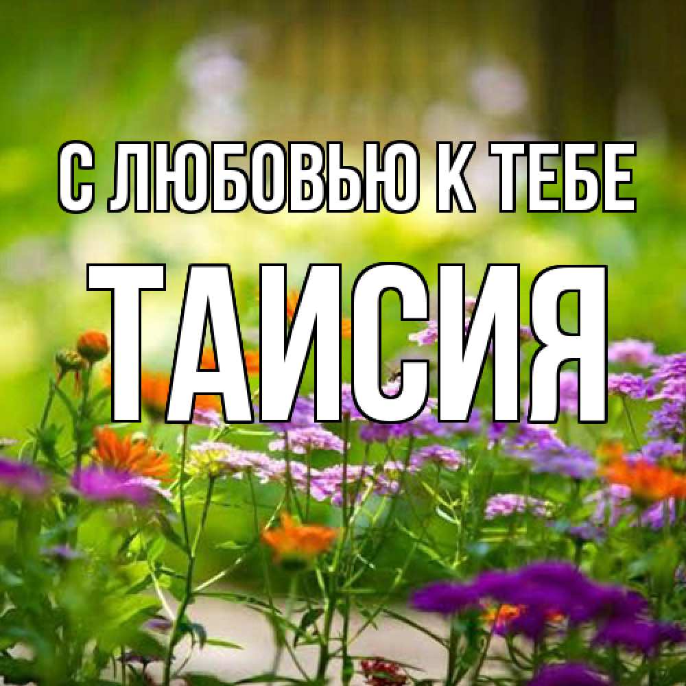 Открытка  с именем. Таисия, С любовью к тебе  