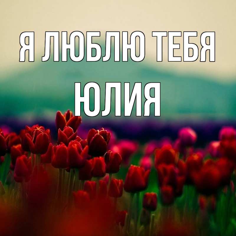 Картинка Я люблю тебя, Юлия