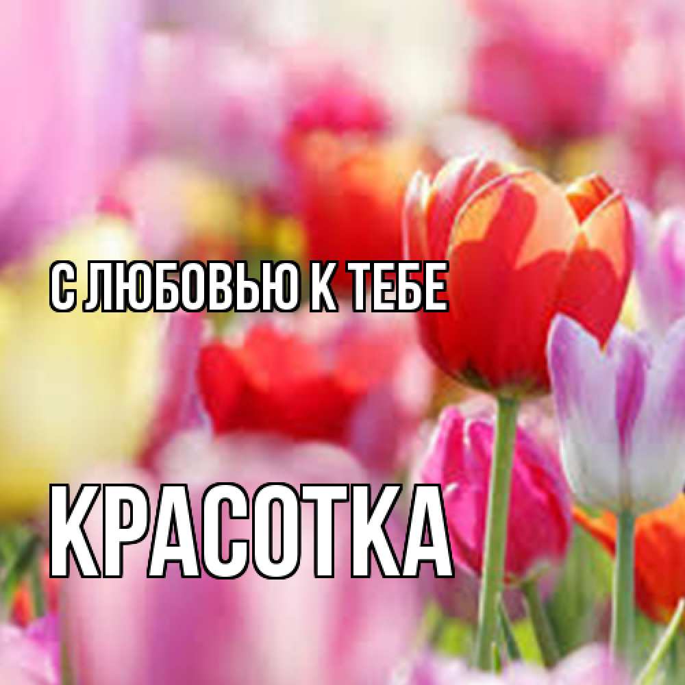 Открытка  с именем. Красотка, С любовью к тебе  