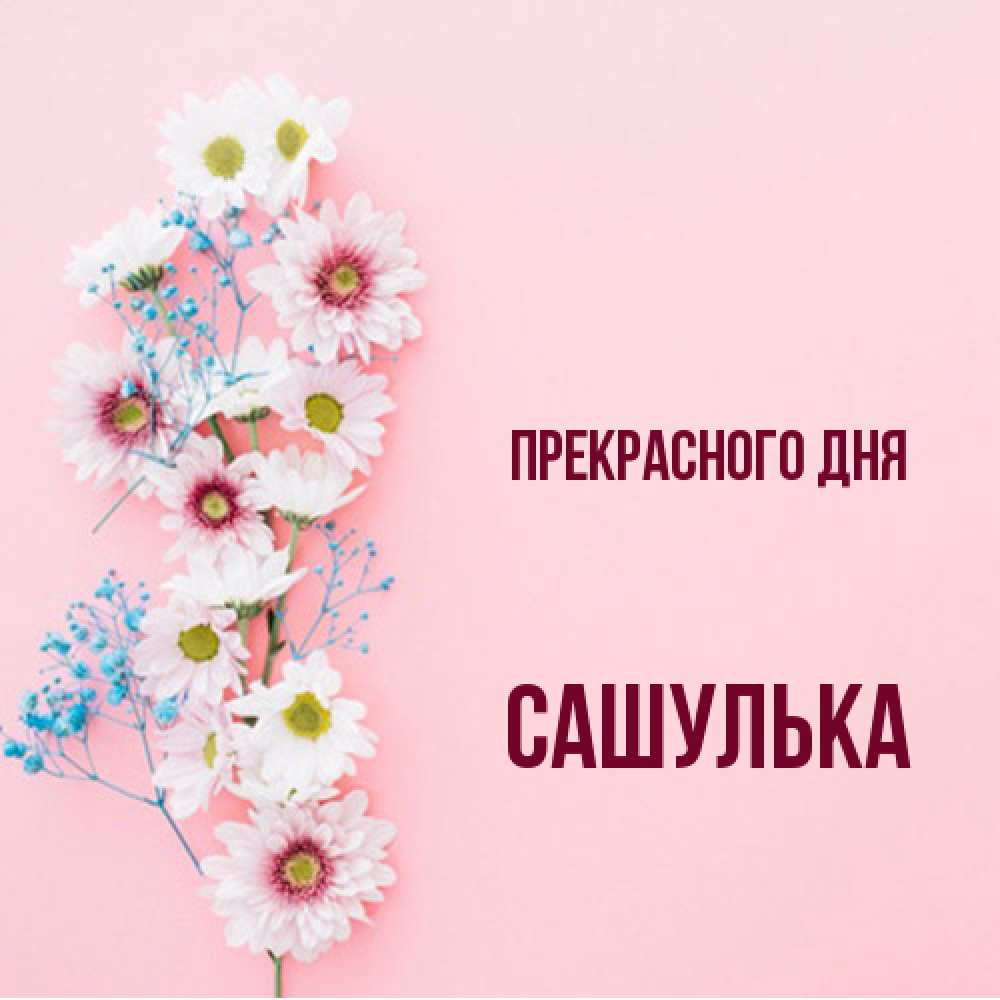 Открытка  с именем. Сашулька, Прекрасного дня  