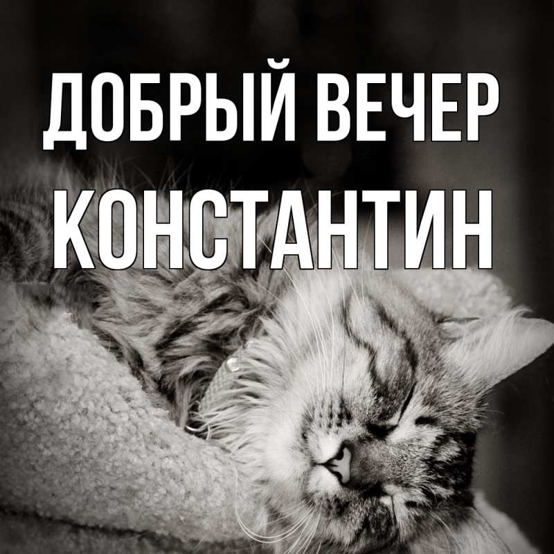 Картинка Добрый вечер, Константин