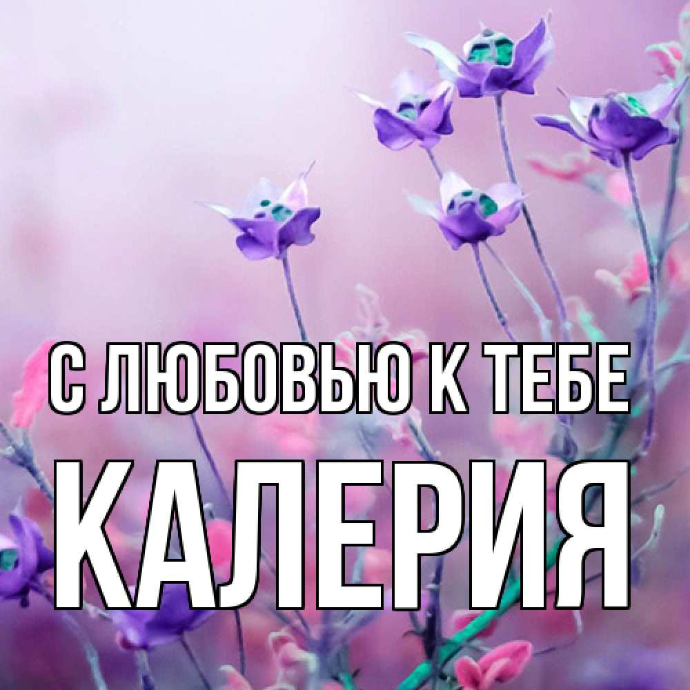 Открытка  с именем. Калерия, С любовью к тебе  