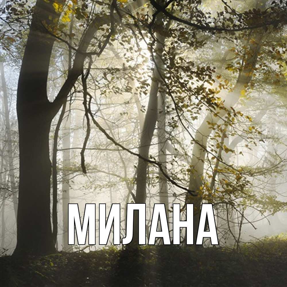 Открытка  с именем. Милана, Главная  