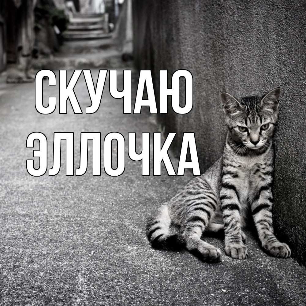 Открытка  с именем. Эллочка, Скучаю  