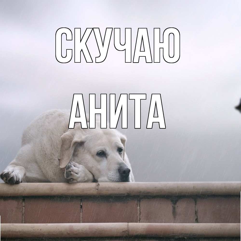 Открытка  с именем. Анита, Скучаю  