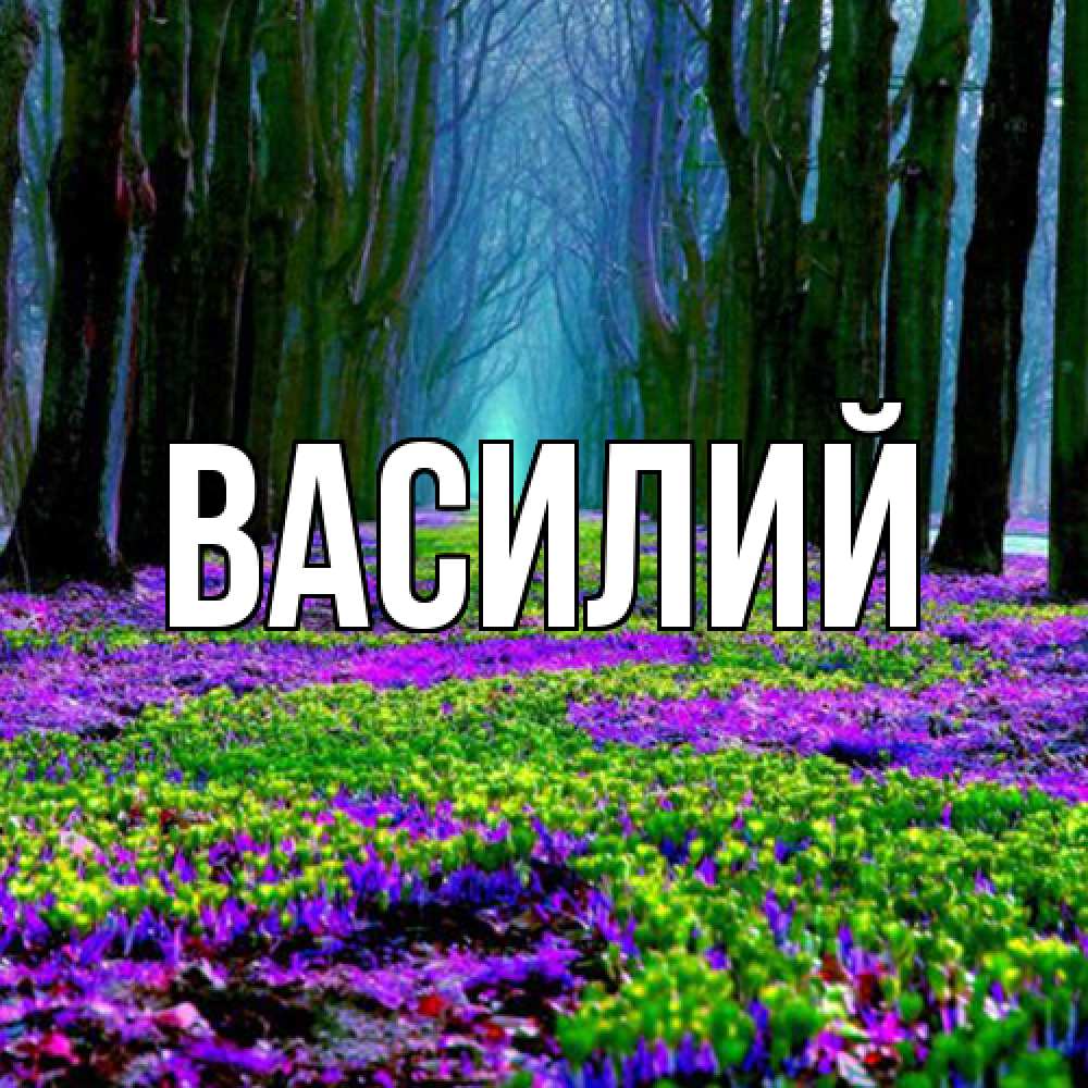 Открытка  с именем. Василий, Главная  