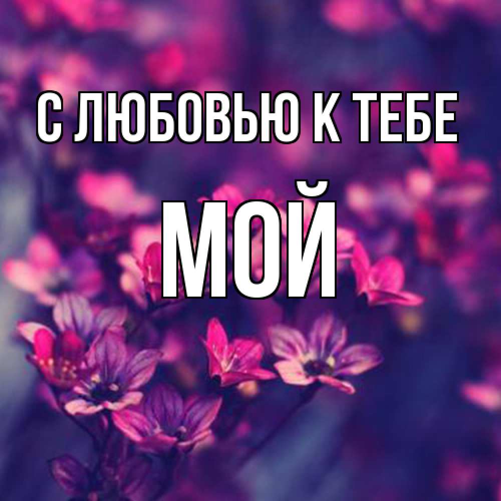 Открытка  с именем. Мой, С любовью к тебе  