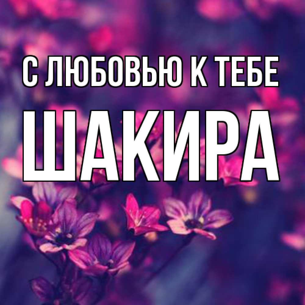 Открытка  с именем. Шакира, С любовью к тебе  