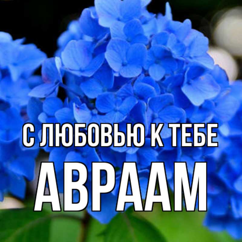 Картинка С любовью к тебе, Авраам