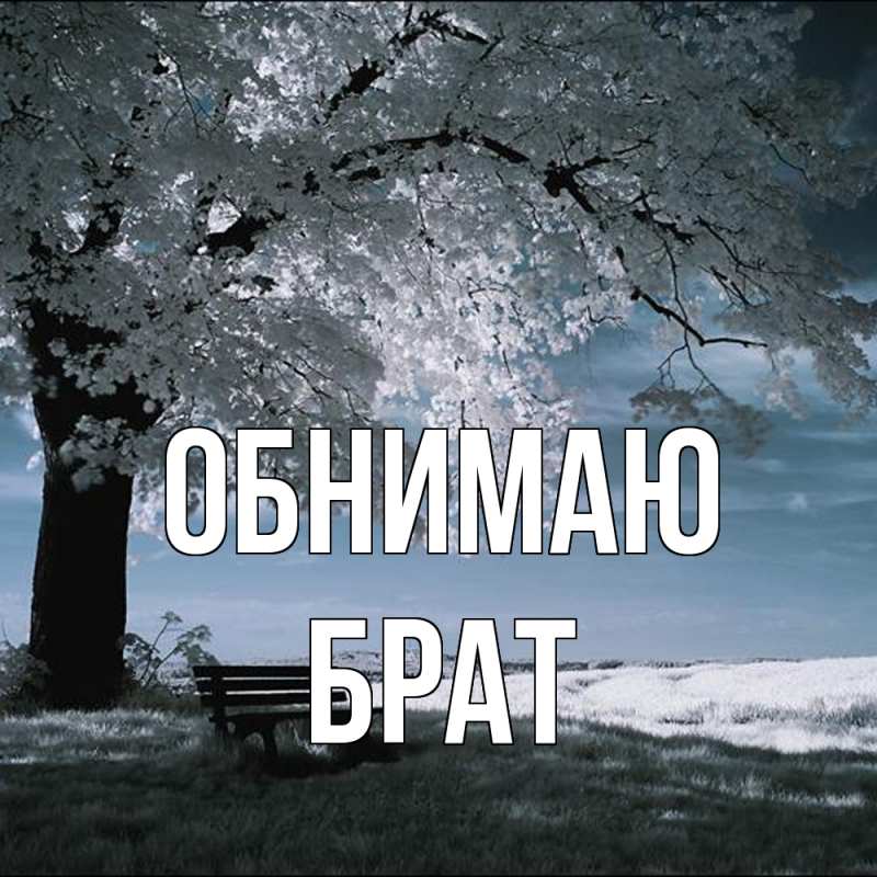 Картинка Обнимаю, Брат