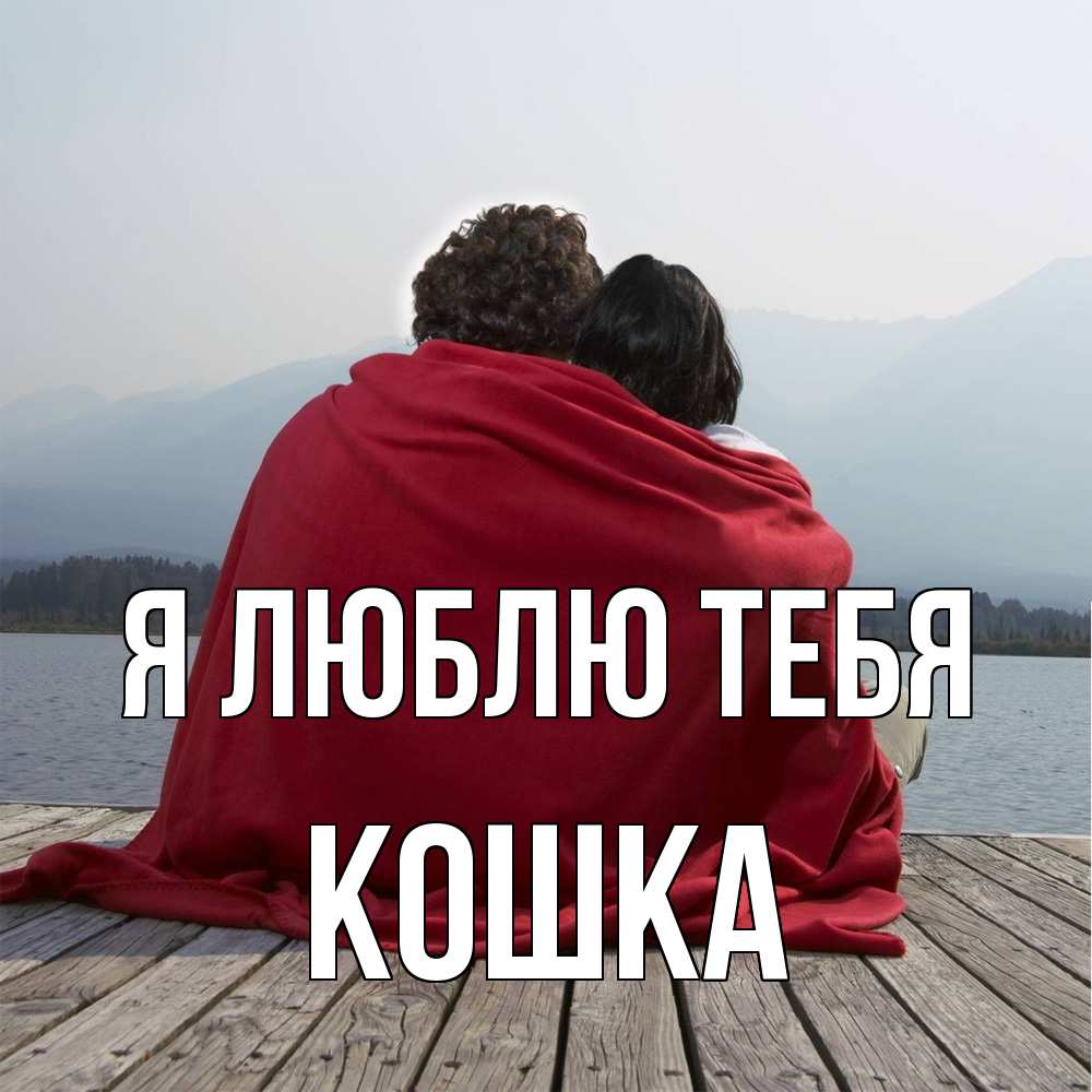 Открытка  с именем. Кошка, Я люблю тебя  