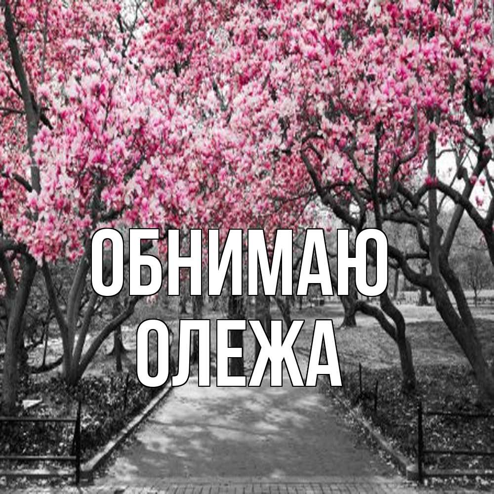 Открытка  с именем. Олежа, Обнимаю  