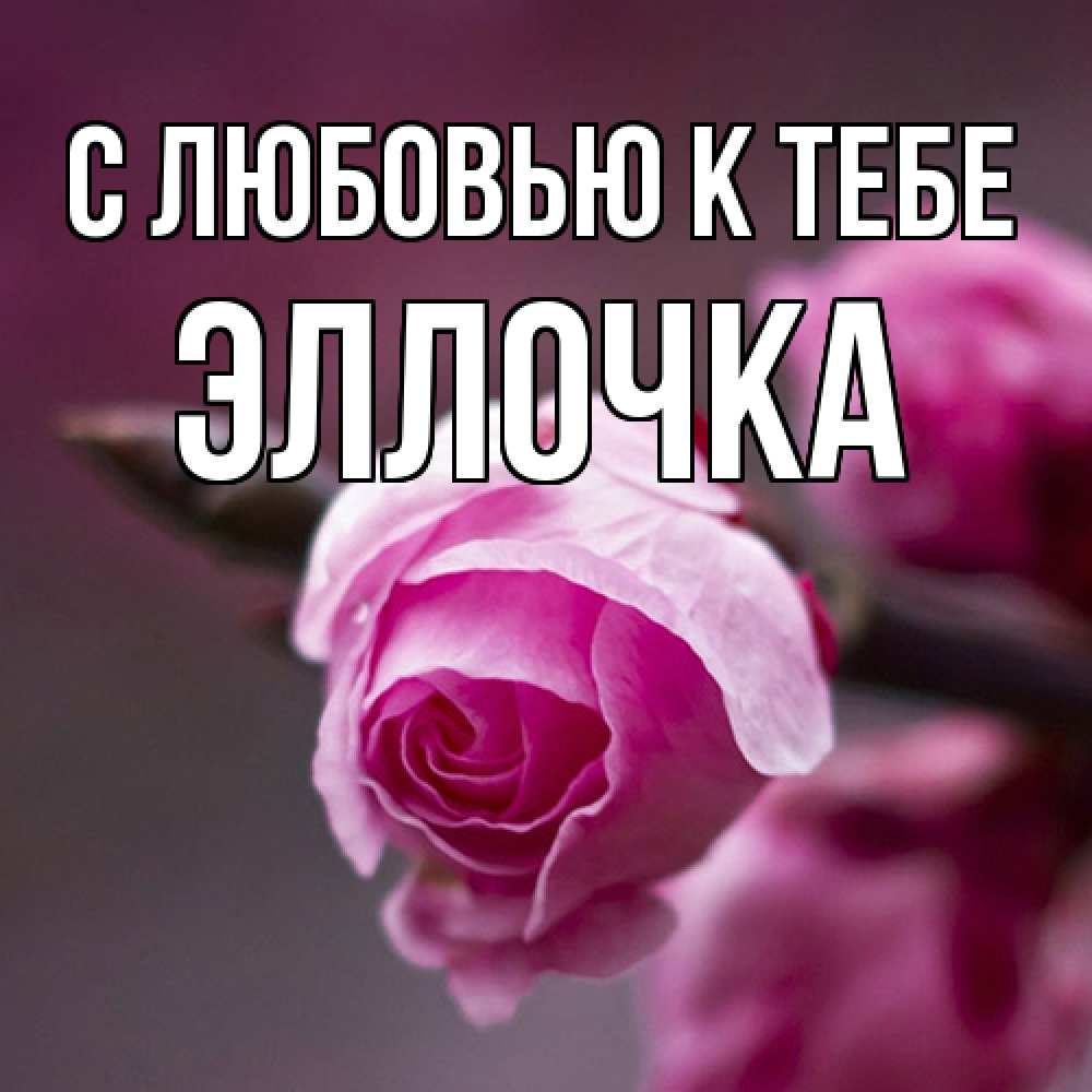 Открытка  с именем. Эллочка, С любовью к тебе  