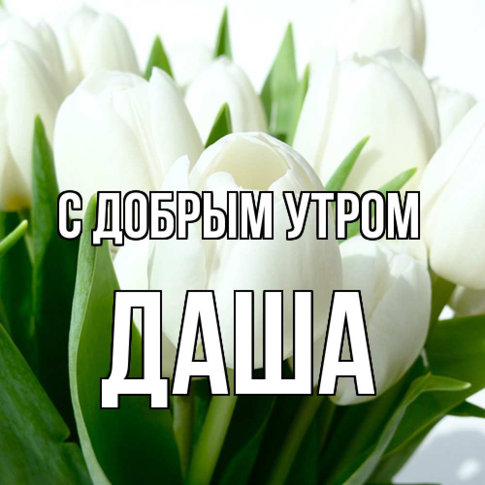 Открытка  с именем. даша, С добрым утром  