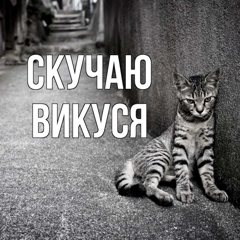 Картинка Скучаю, Викуся