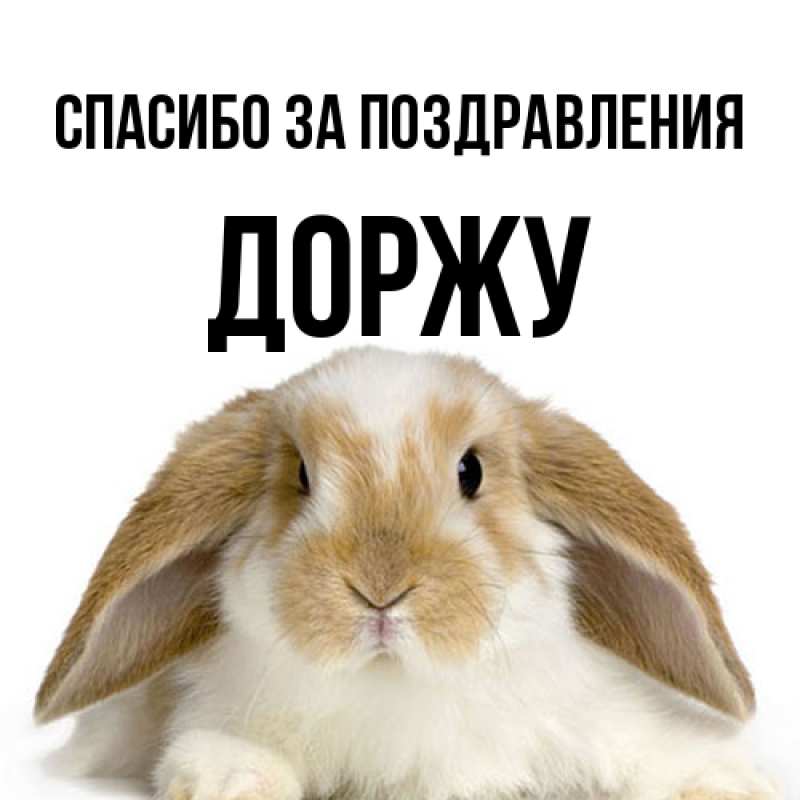 Картинка Спасибо за поздравления, Доржу