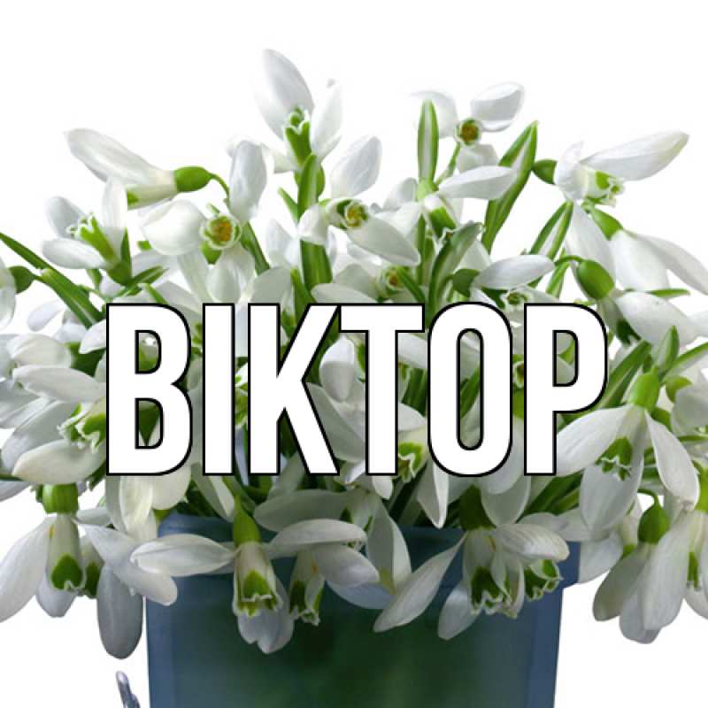 Картинка  с именем , Віктор