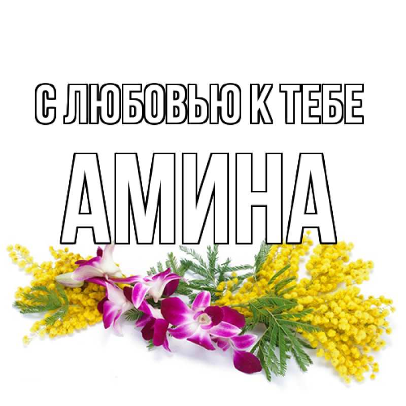 Картинка С любовью к тебе, Амина