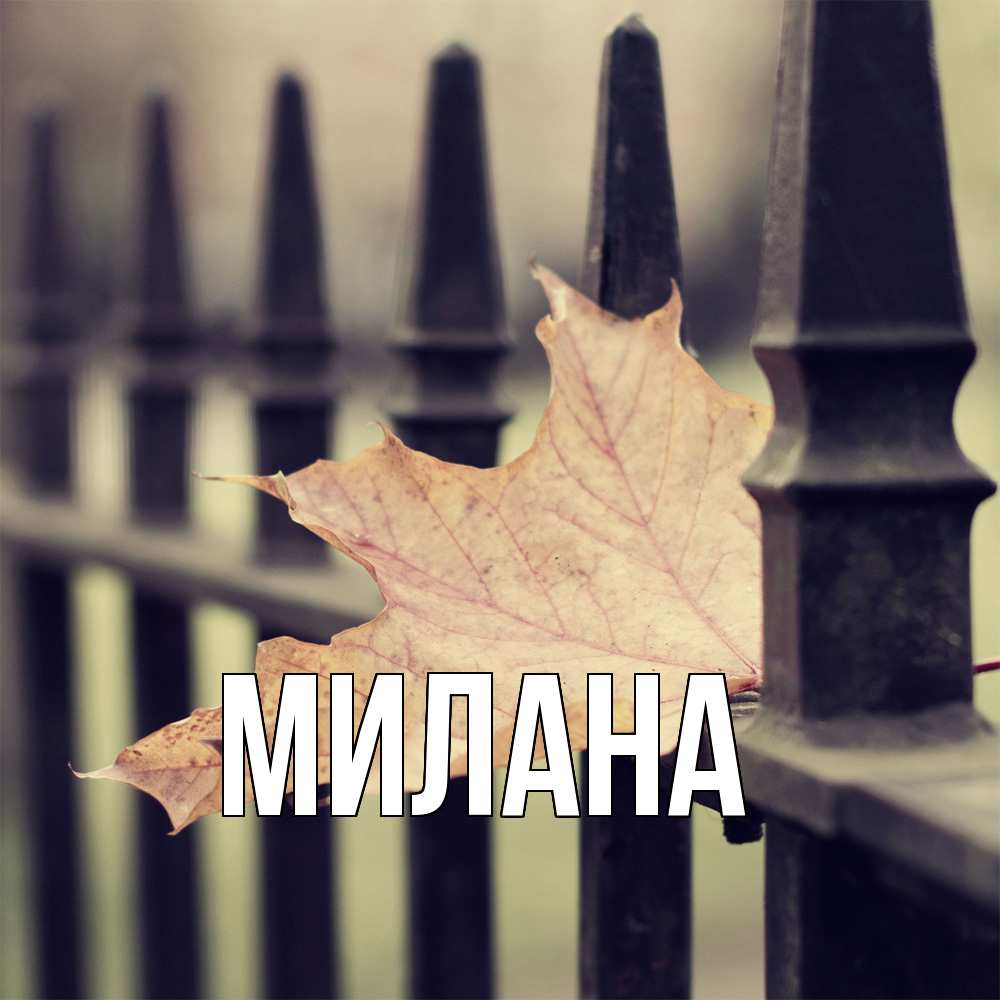 Открытка  с именем. Милана, Главная  