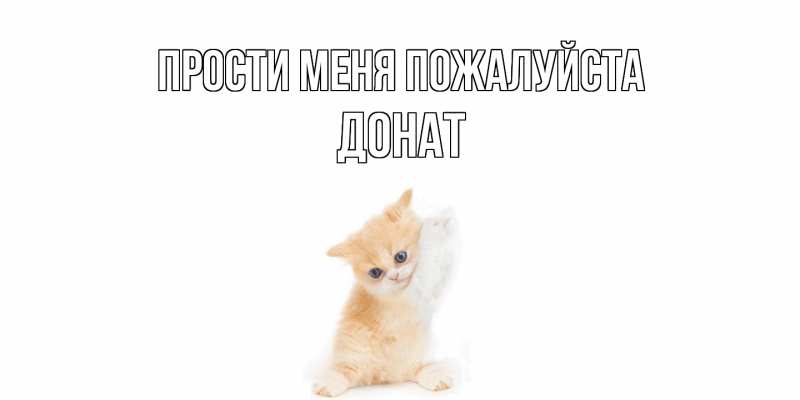 Картинка Прости меня пожалуйста, Донат