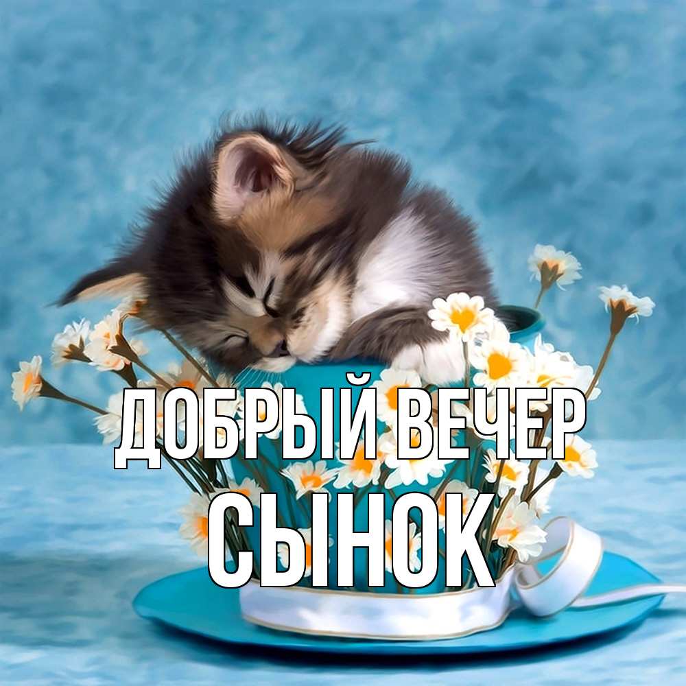 Открытка  с именем. Сынок, Добрый вечер  