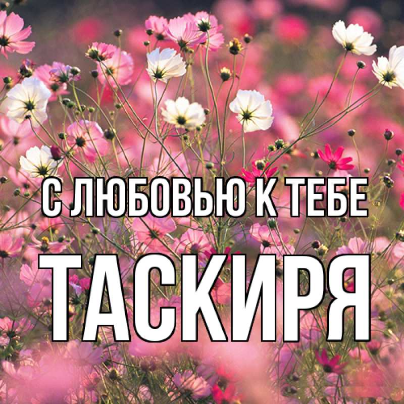 Картинка С любовью к тебе, Таскиря