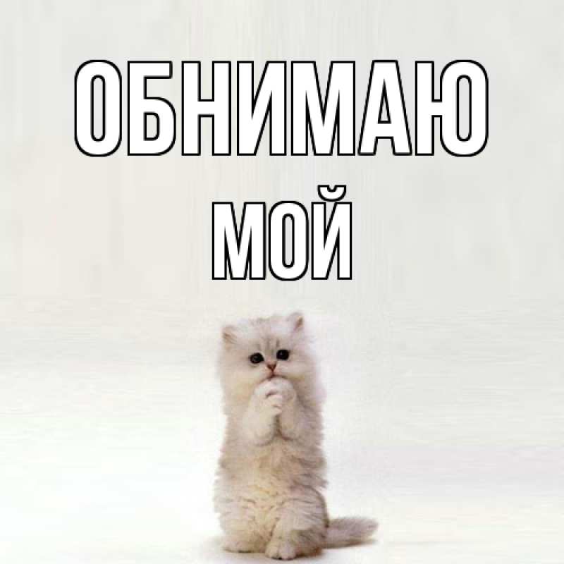 Картинка Обнимаю, Мой