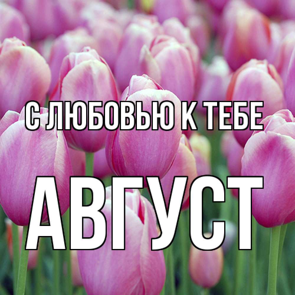 Открытка  с именем. Август, С любовью к тебе  