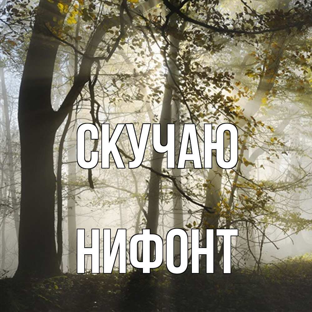 Открытка  с именем. Нифонт, Скучаю  