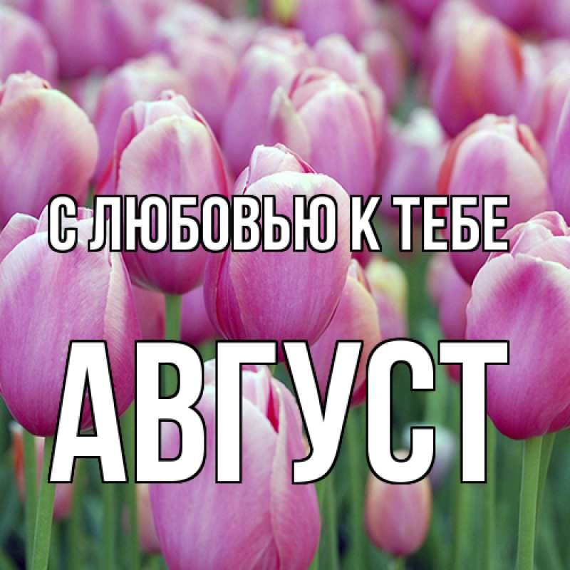 Картинка С любовью к тебе, Август
