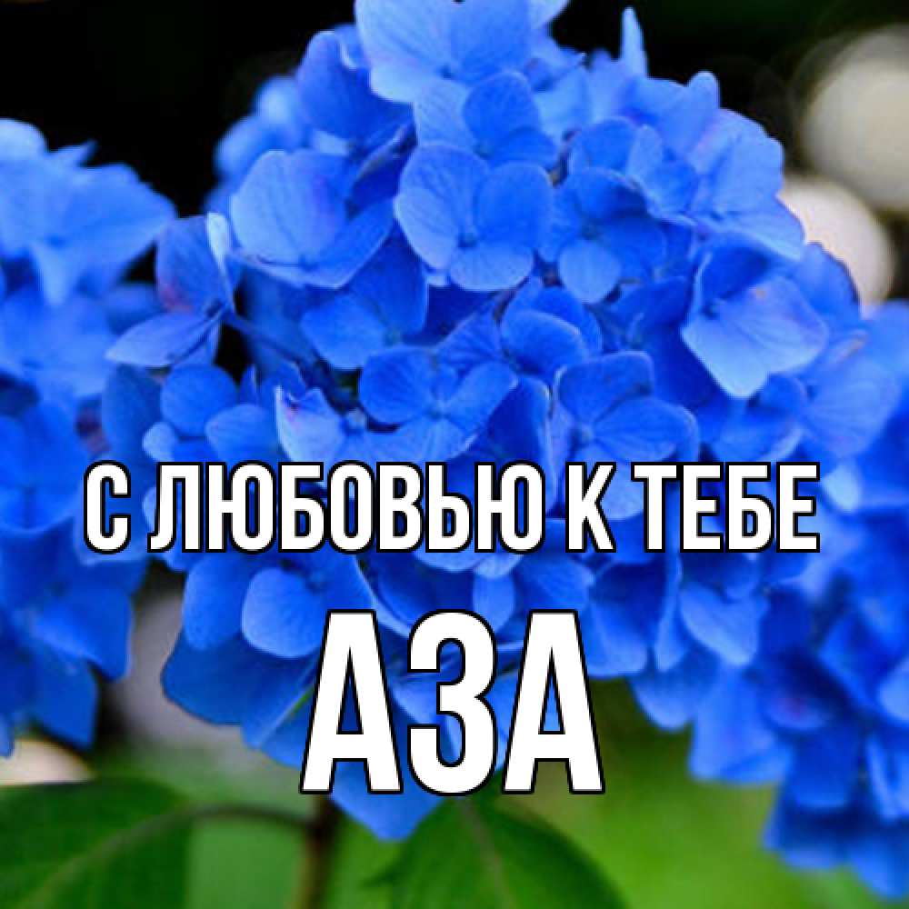 Открытка  с именем. Аза, С любовью к тебе  