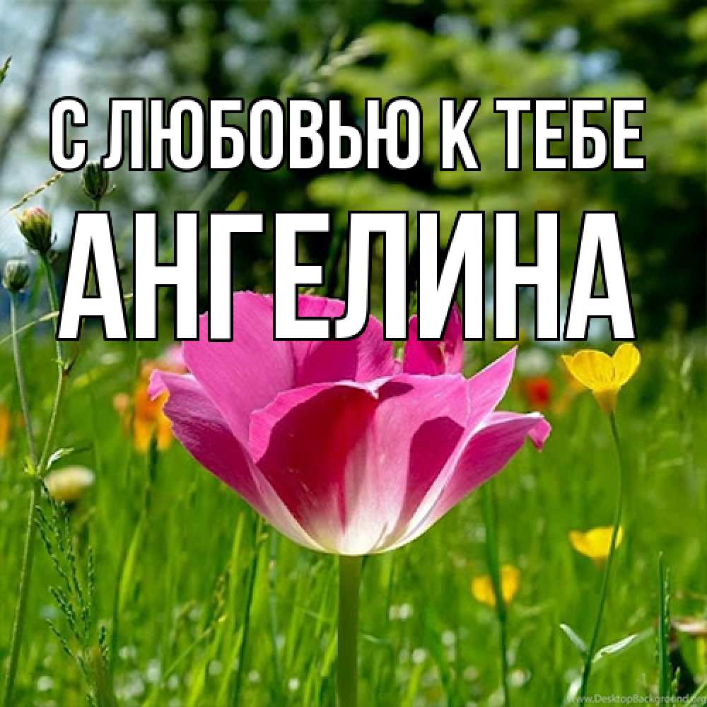 Открытка  с именем. Ангелина, С любовью к тебе  
