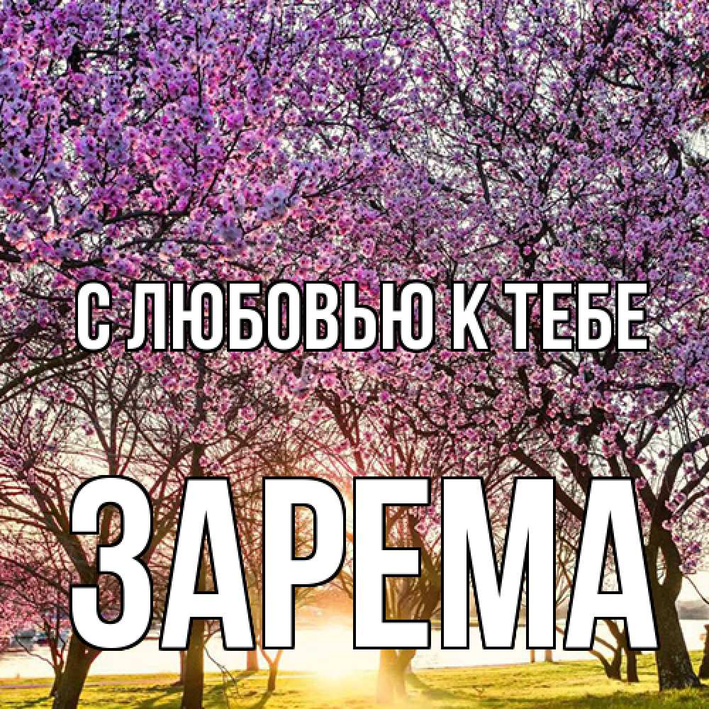 Открытка  с именем. Зарема, С любовью к тебе  