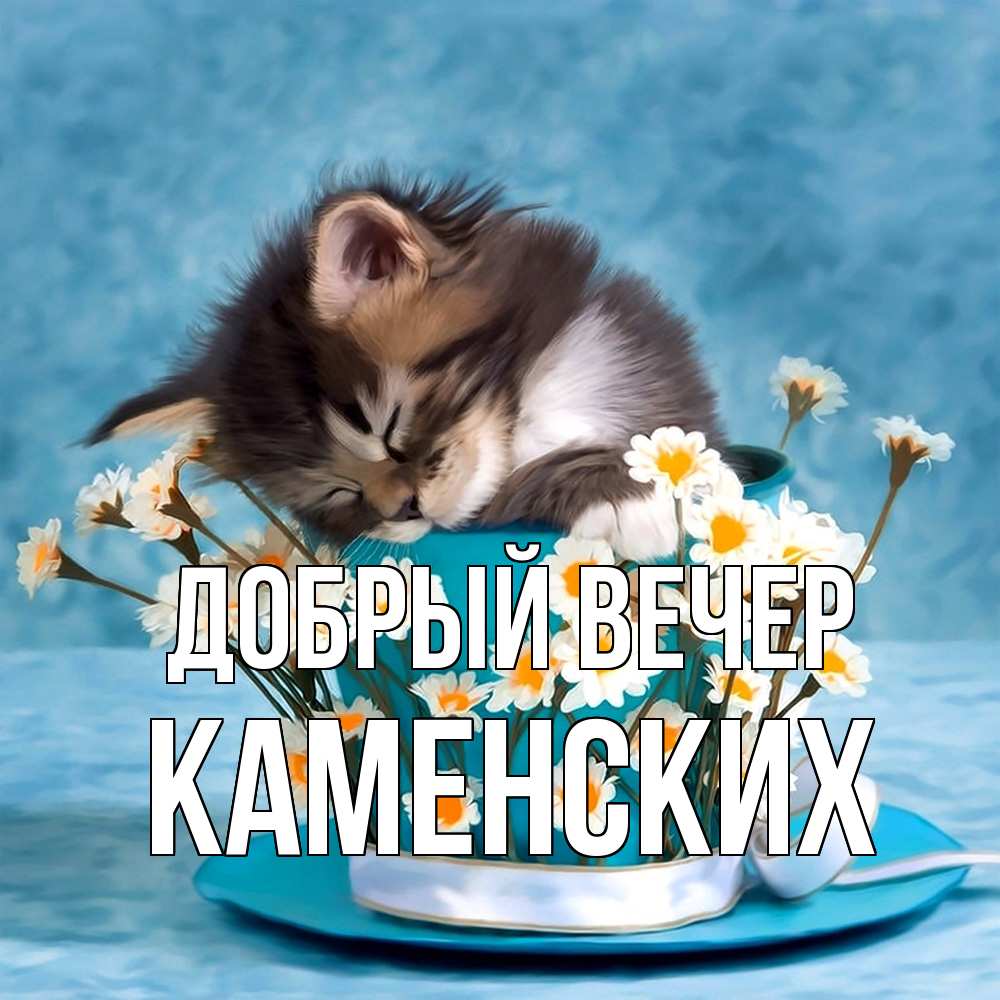 Открытка  с именем. Каменских, Добрый вечер  
